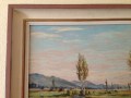 Paisaje panoramico de Moos en Ins 